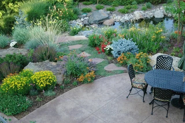PTG-Xeriscaping-1.jpg
