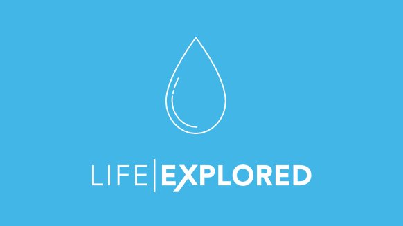 Life Explored (7 Sessions)