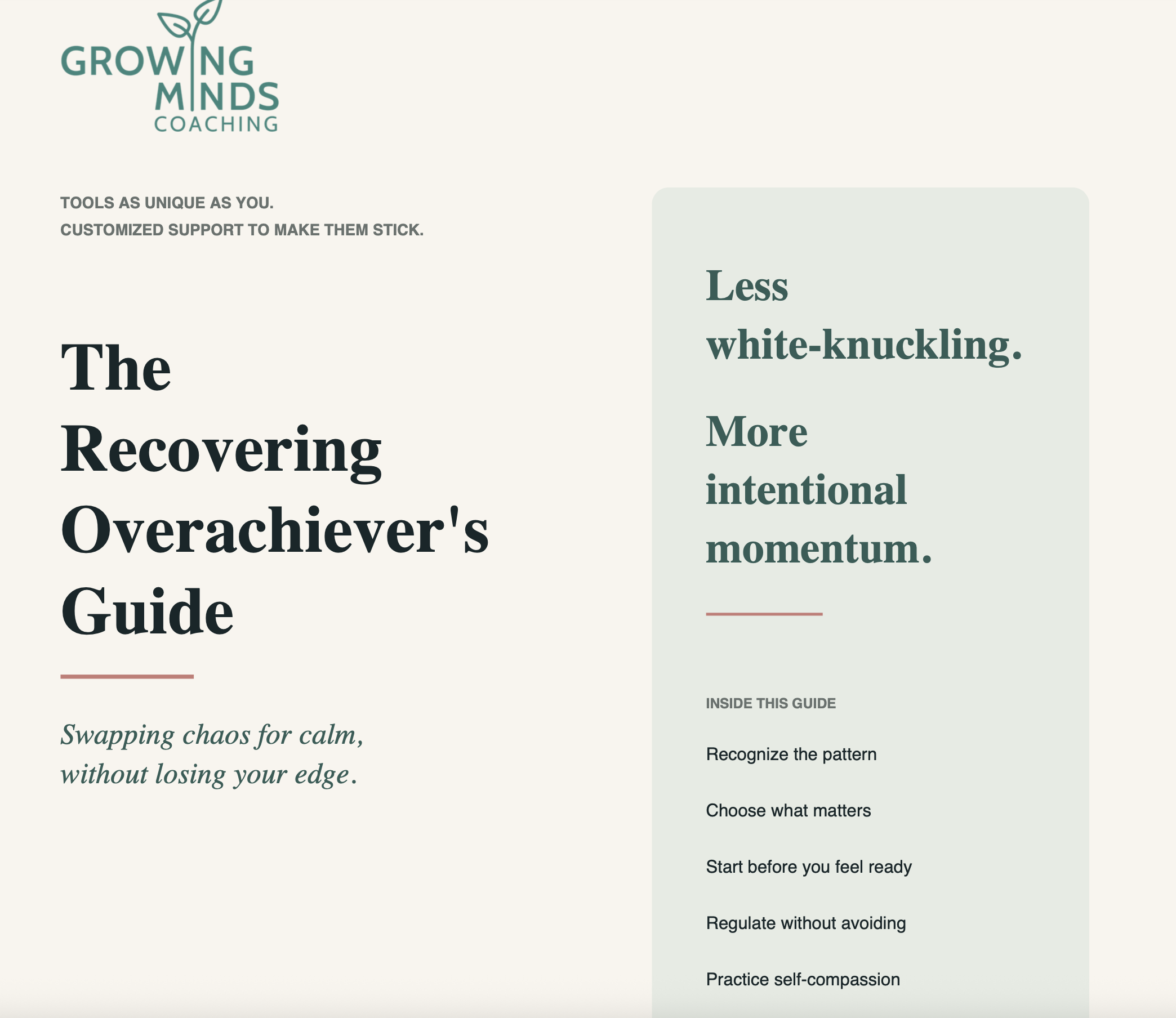 The Recovering Overachiever's Guide to EF Coaching