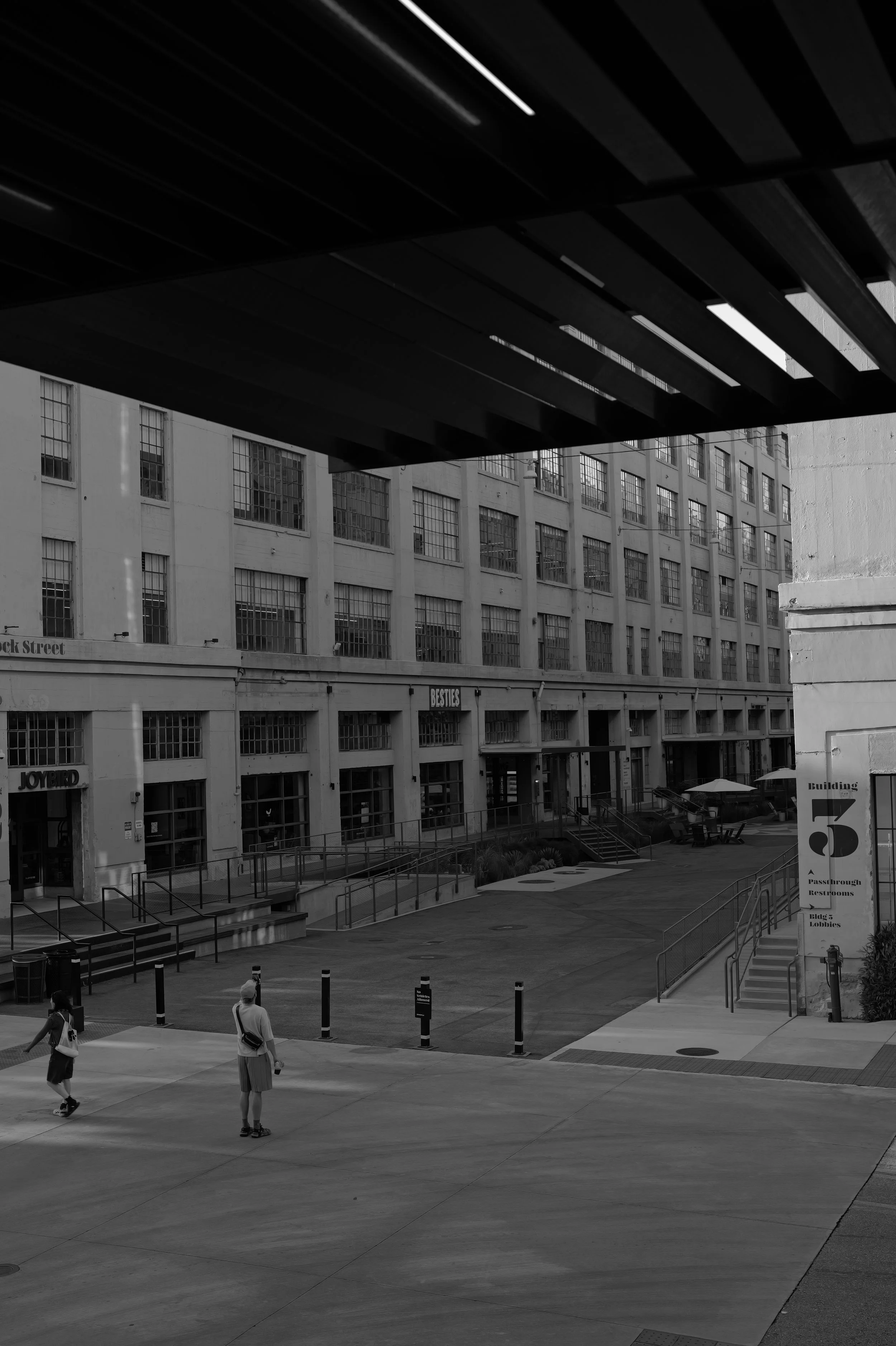L1002960.JPG