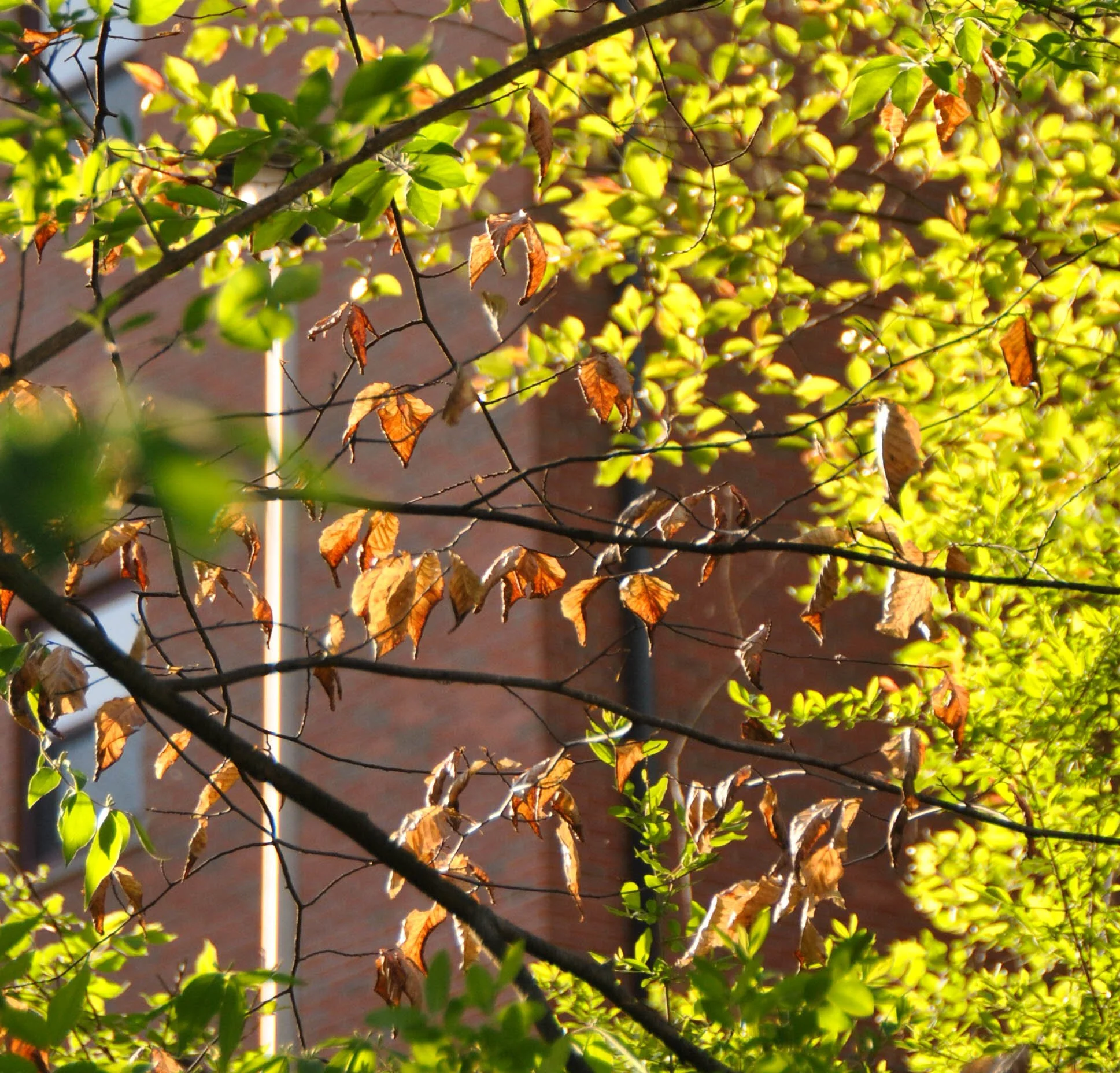 Edit-3.jpg