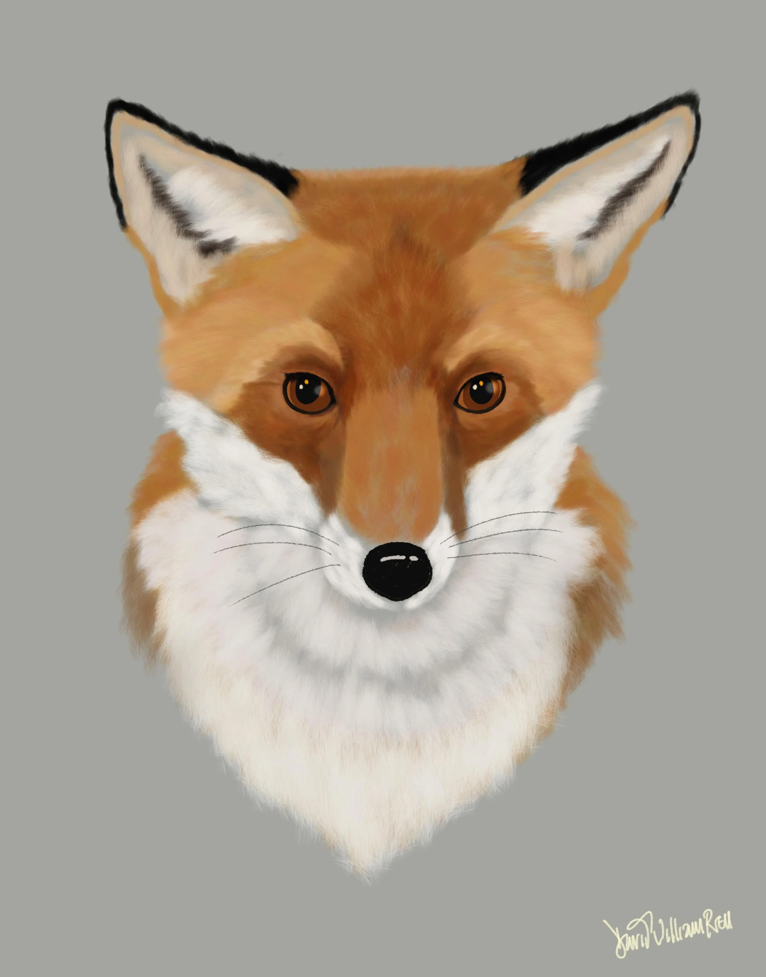 Fox new version.jpg