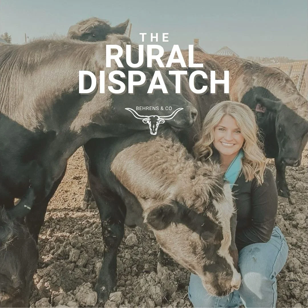 This week on The Rural Dispatch 🎙️
Ashley Brincks joins me to share how hardship shaped her story, why young leaders matter, and how cattle and conservation go hand in hand.
🎧 Tune in to Conservation, Cattle, and Confidence — out now wherev