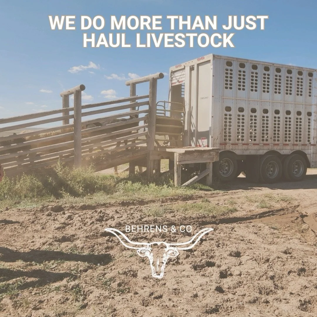 If you&rsquo;re someone who wants a true look into rural business, trucking, cattle, and real stories from the everyday people that keep this world turning &mdash; whether you&rsquo;re in the industry, married to it, or just curious how it all works 