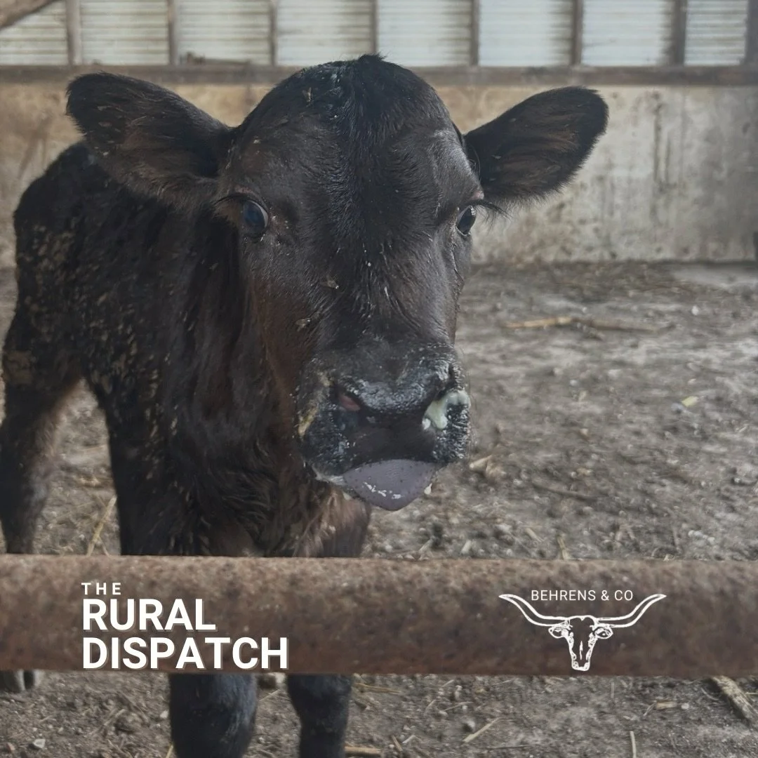 This week on The Rural Dispatch we&rsquo;re bringing you a conversation that touches just about every corner of the livestock world we don&rsquo;t usually talk about.

Adam Prokash shares his story as a first-generation producer who didn&rsquo;t grow