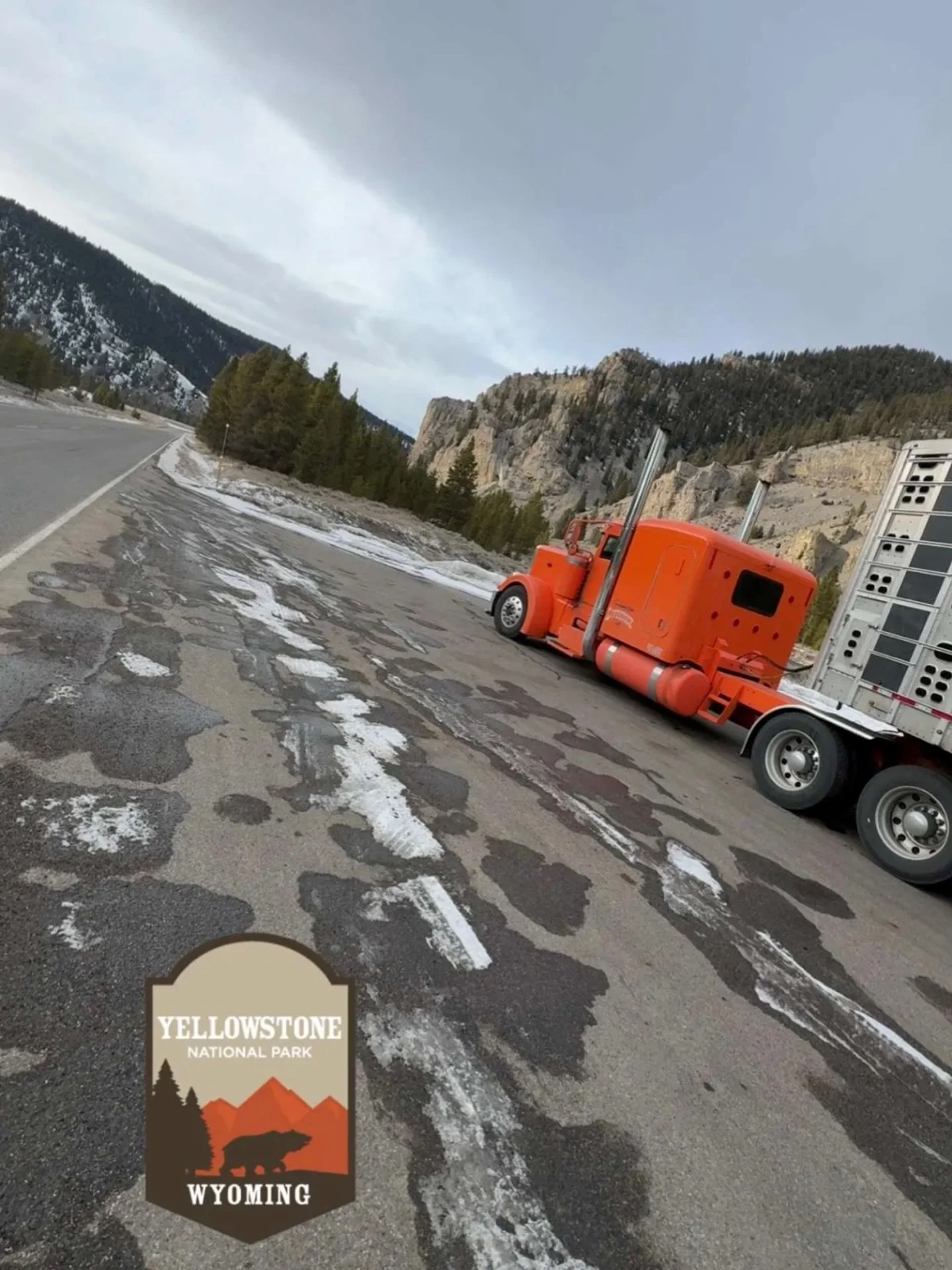 Orange you glad you don&rsquo;t work in an office? 🍊🥁

@kjhamilton75 

#behrensadventures