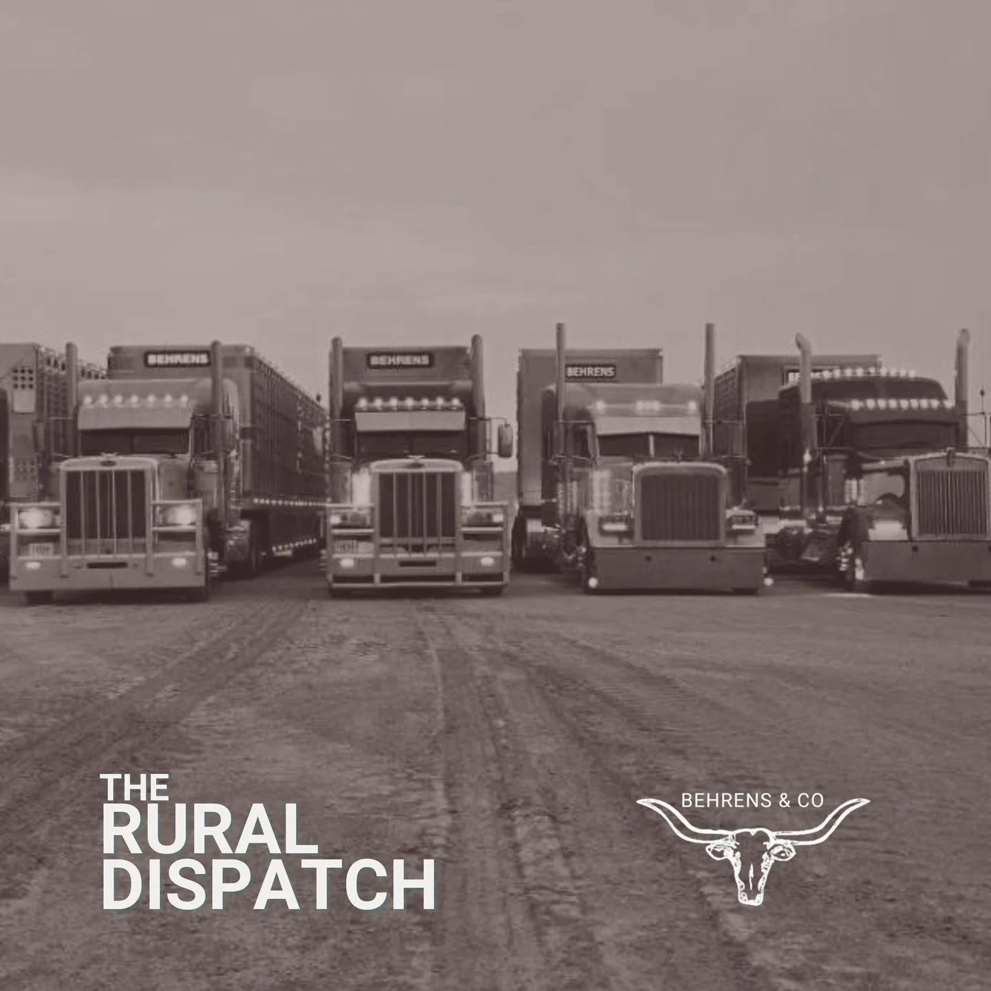 The seasonal slow down hit J&amp;T Express&hellip; which means a few drivers got a turn in the hot seat.

We dive into how these guys got started hauling livestock, Rob&rsquo;s Polish heritage, Magner&rsquo;s sleep struggles, and why Cauy has trust i