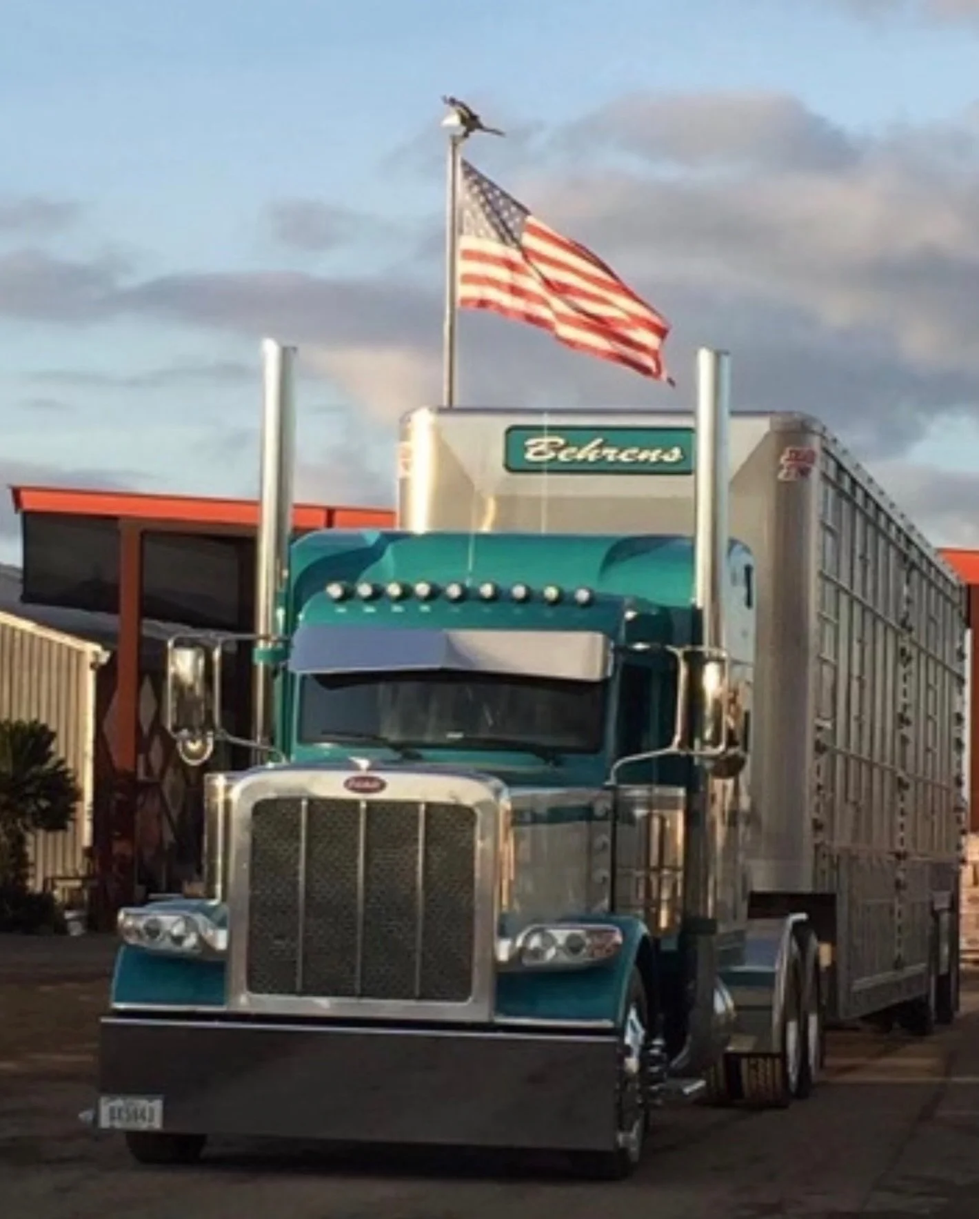 The closest thing to green we&rsquo;ve got around here. Happy St Patrick&rsquo;s Day &mdash; may your luck be better than ours 🍀

#behrensadventures