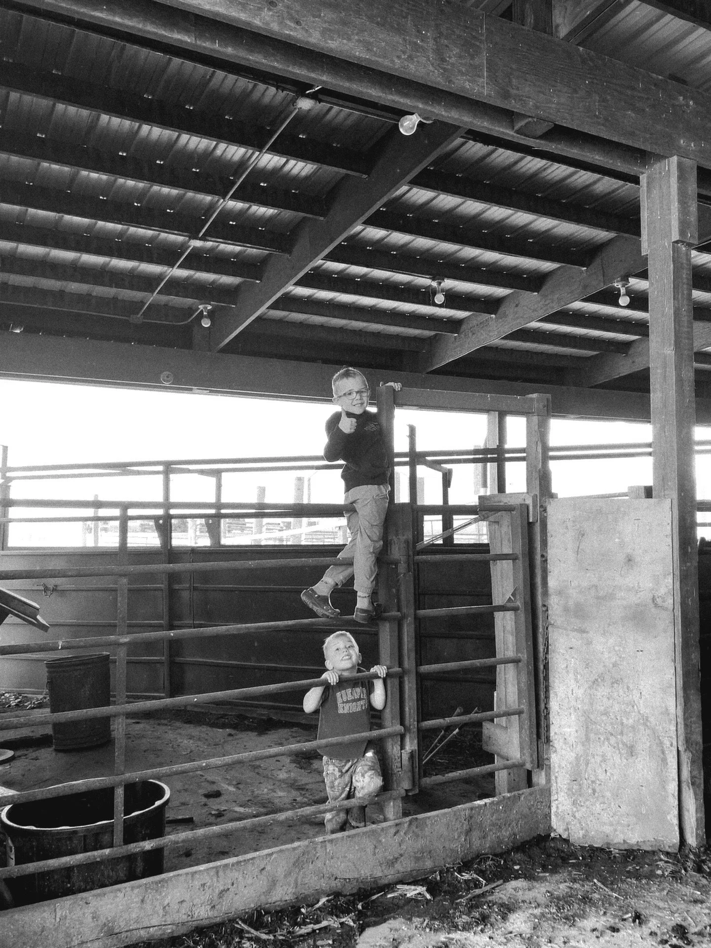 Last load of cows delivered, time to call it a day 🍻👍🏼

#behrensadventures
