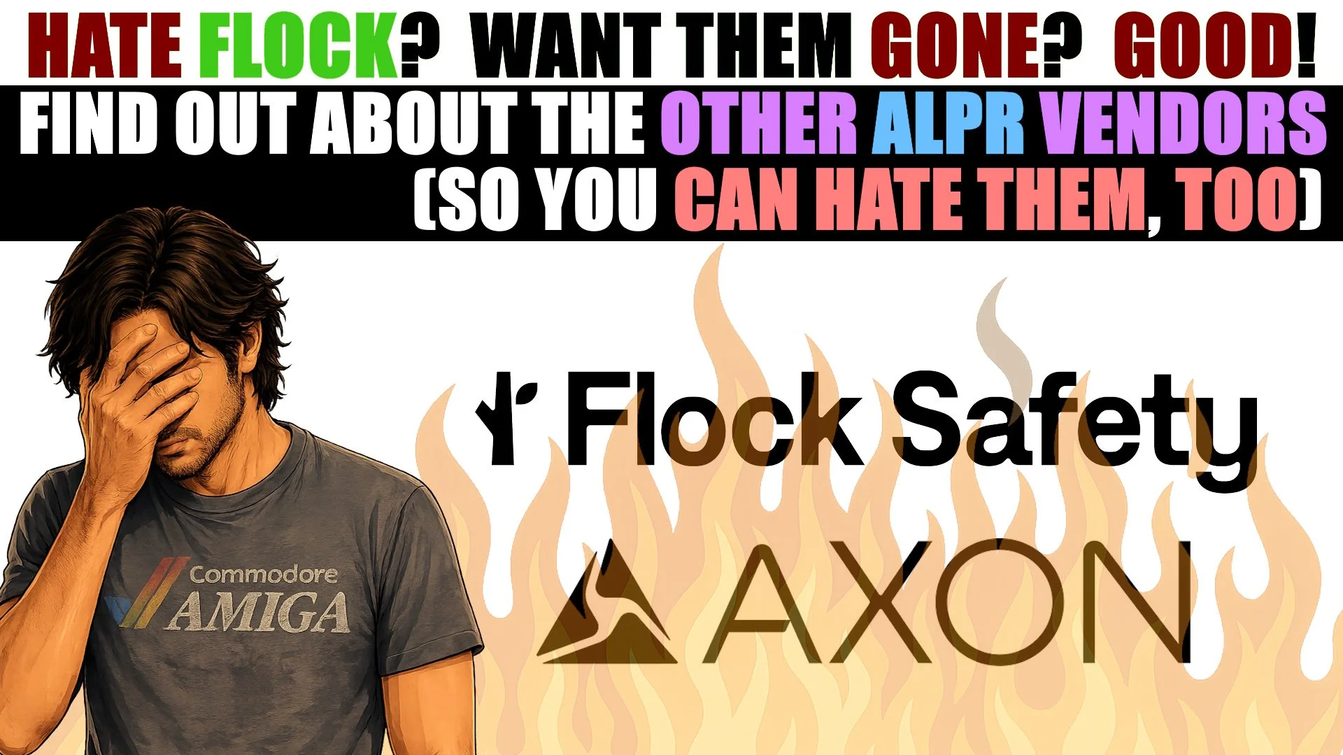 Hate Flock?  Wait until you see the rest of the ALPR vendors (citations)