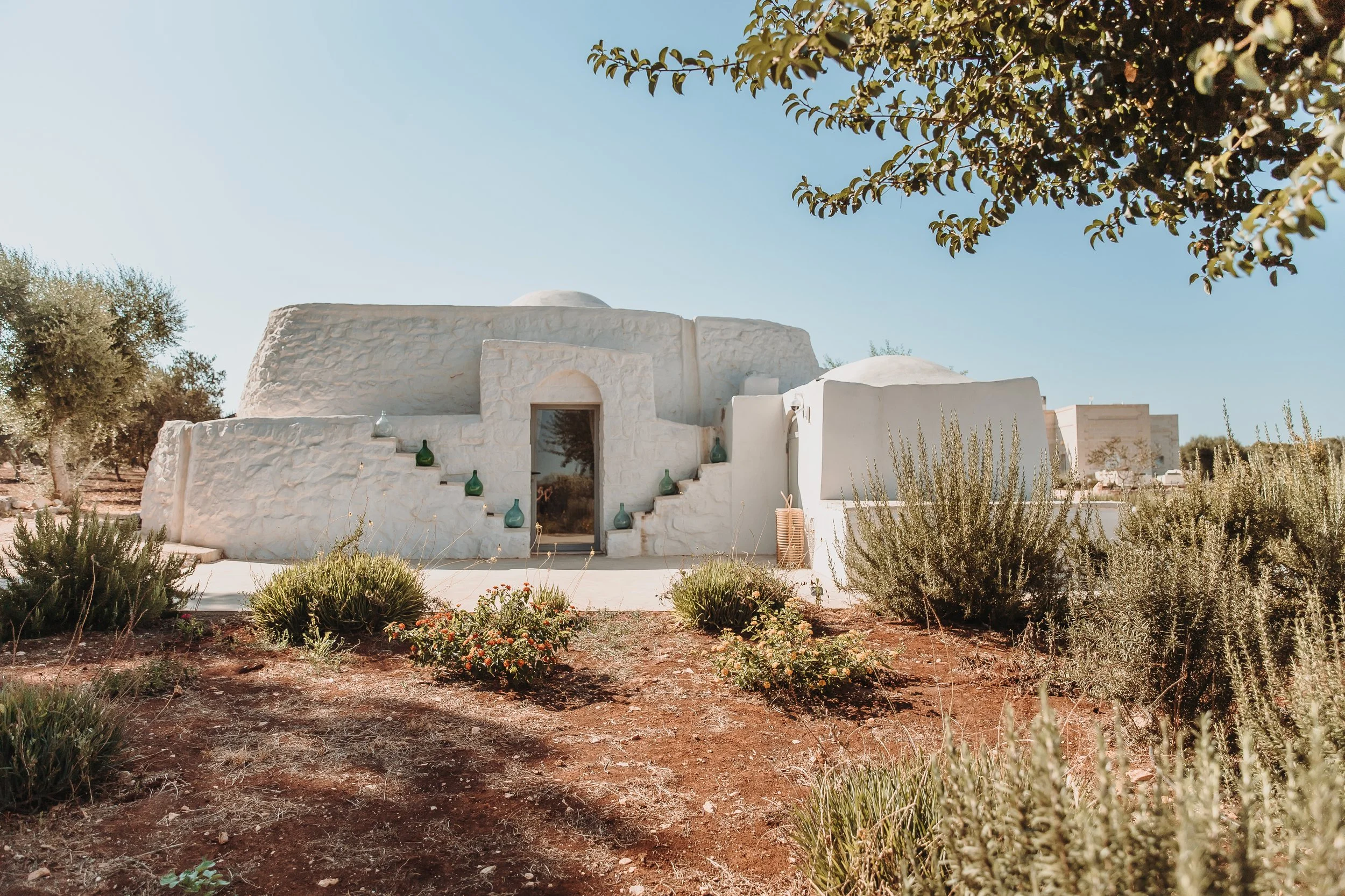 White stucco building in a desert landscape with plants and shrubs, under a clear blue sky.