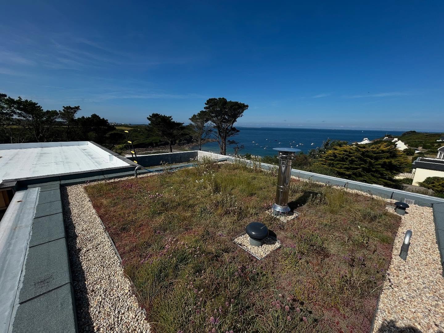 La toiture v&eacute;g&eacute;talis&eacute;e se porte bien sur notre chantier &agrave; Ploumoguer. Merci &agrave; #soprema pour son produit #sopranature #toundra