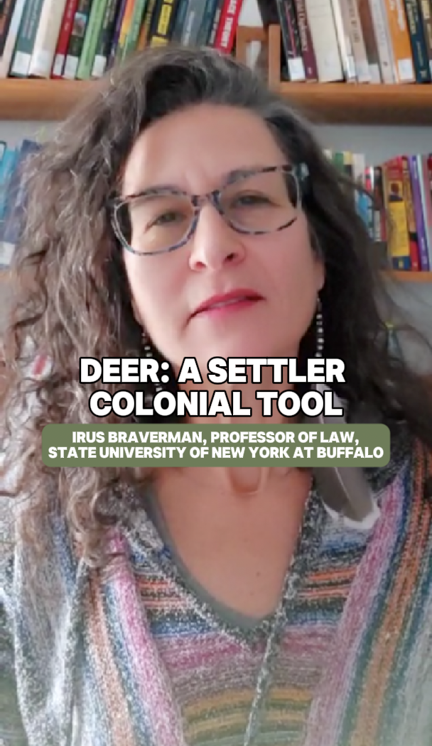 "Deer: A Settler Colonial Tool " - Dr. Irus Braverman (State University of New York at Buffalo)

 
Prof: Dr. Irus Braverman, Topic: Violence, Topic: Annexation/ Apartheid, Time: 1948 - 1967, Time: 1967 - 2000, Time: 2000 - 2023, Time: 2023 - Present,