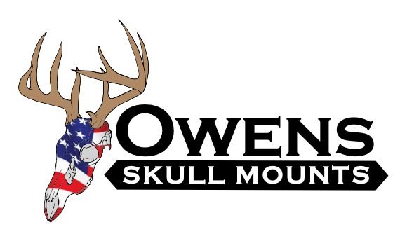 Owens Skull Mounts