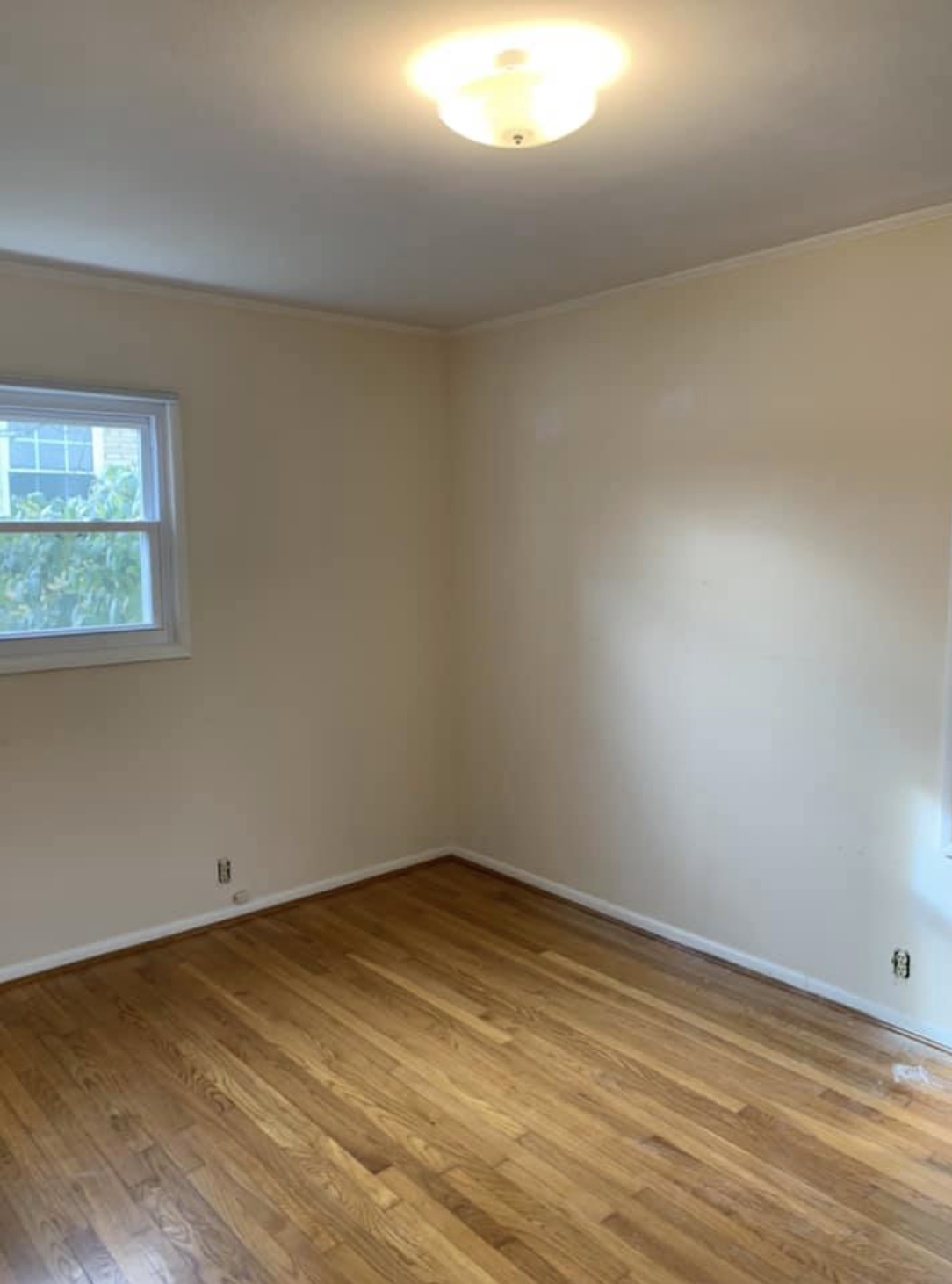 Screen Shot 2024-10-16 at 10.01.30 PM.png