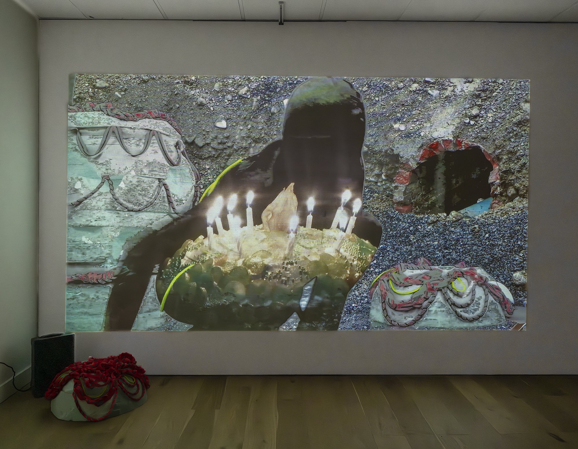 creature, installation view