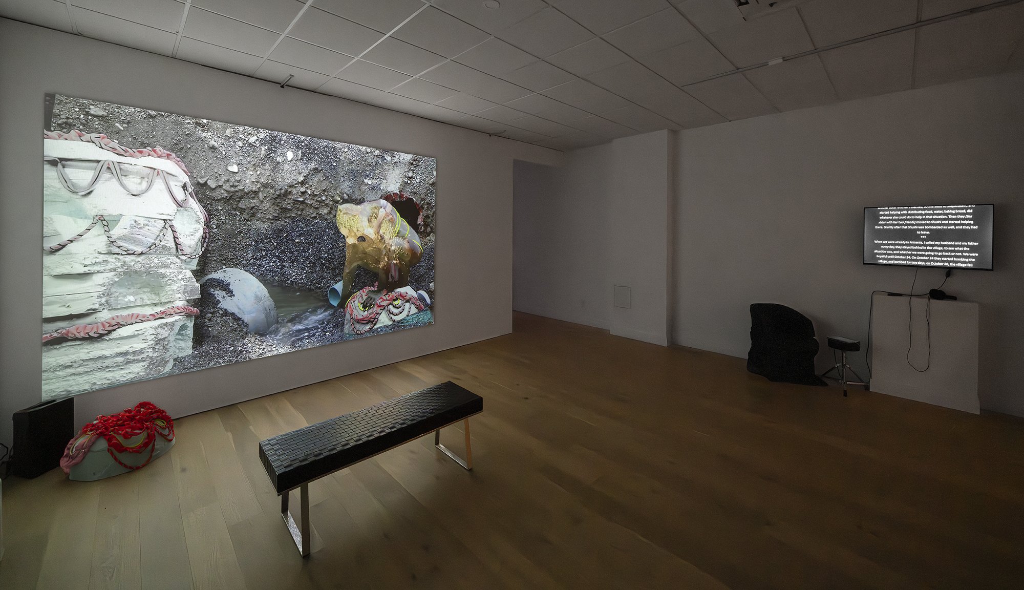 creature, installation view