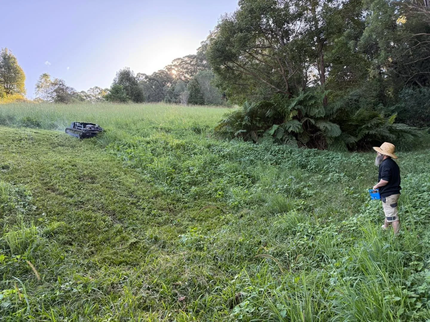 Good shot from yesterday showing the AutoSlasher taking care of a steep slope with overgrown grass, from a safe distance.