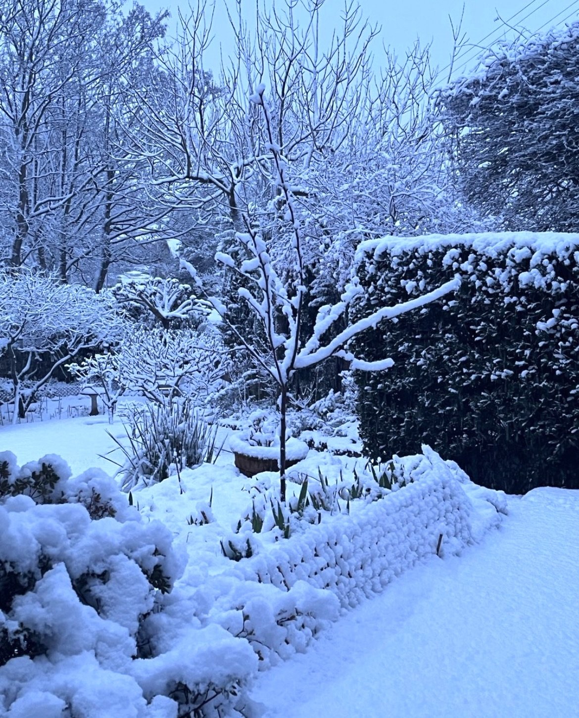 winter structure .jpeg
