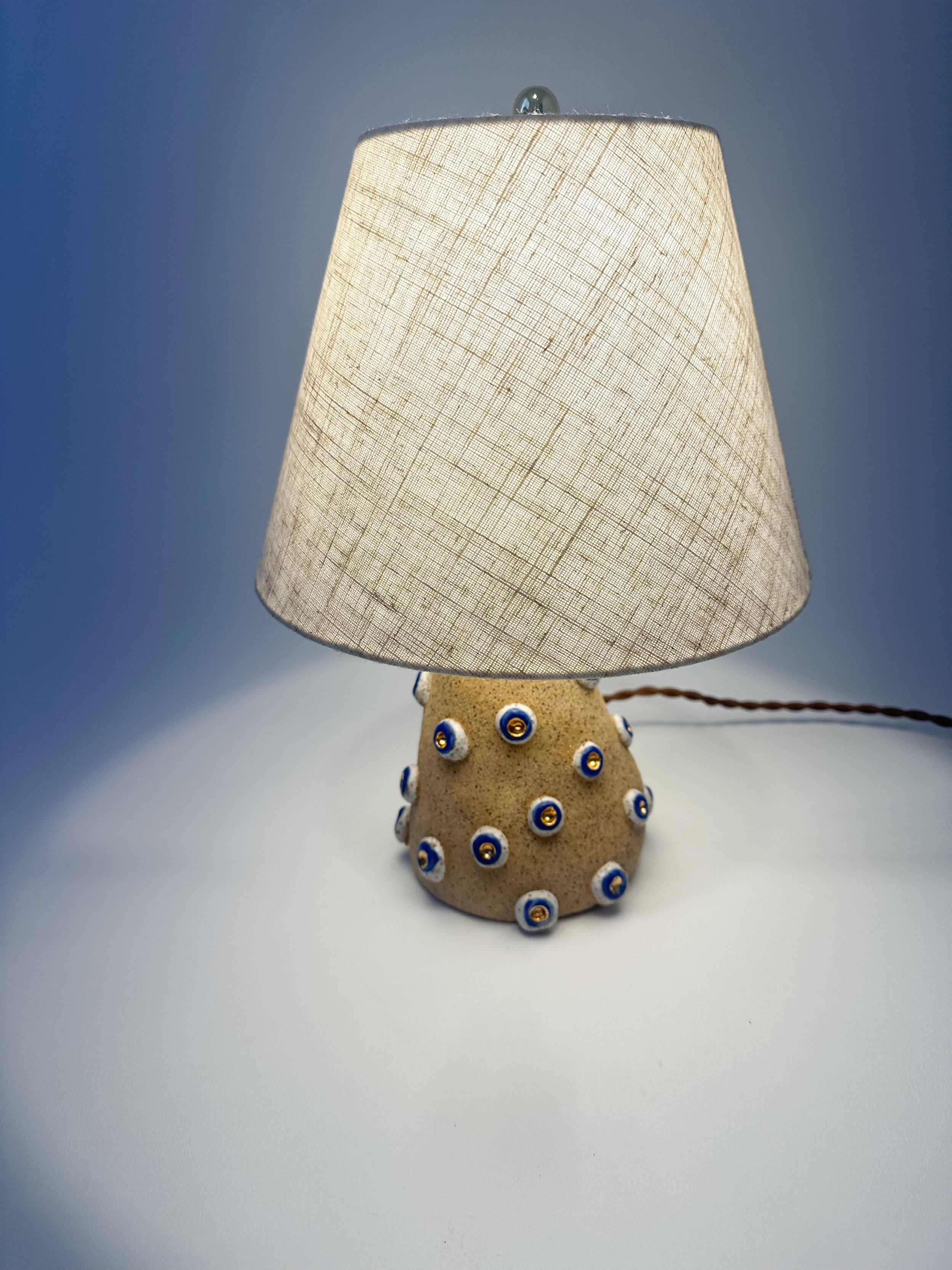 691CD762-0BBC-47F9-9826-F9BA9572EB6E copy.JPEG