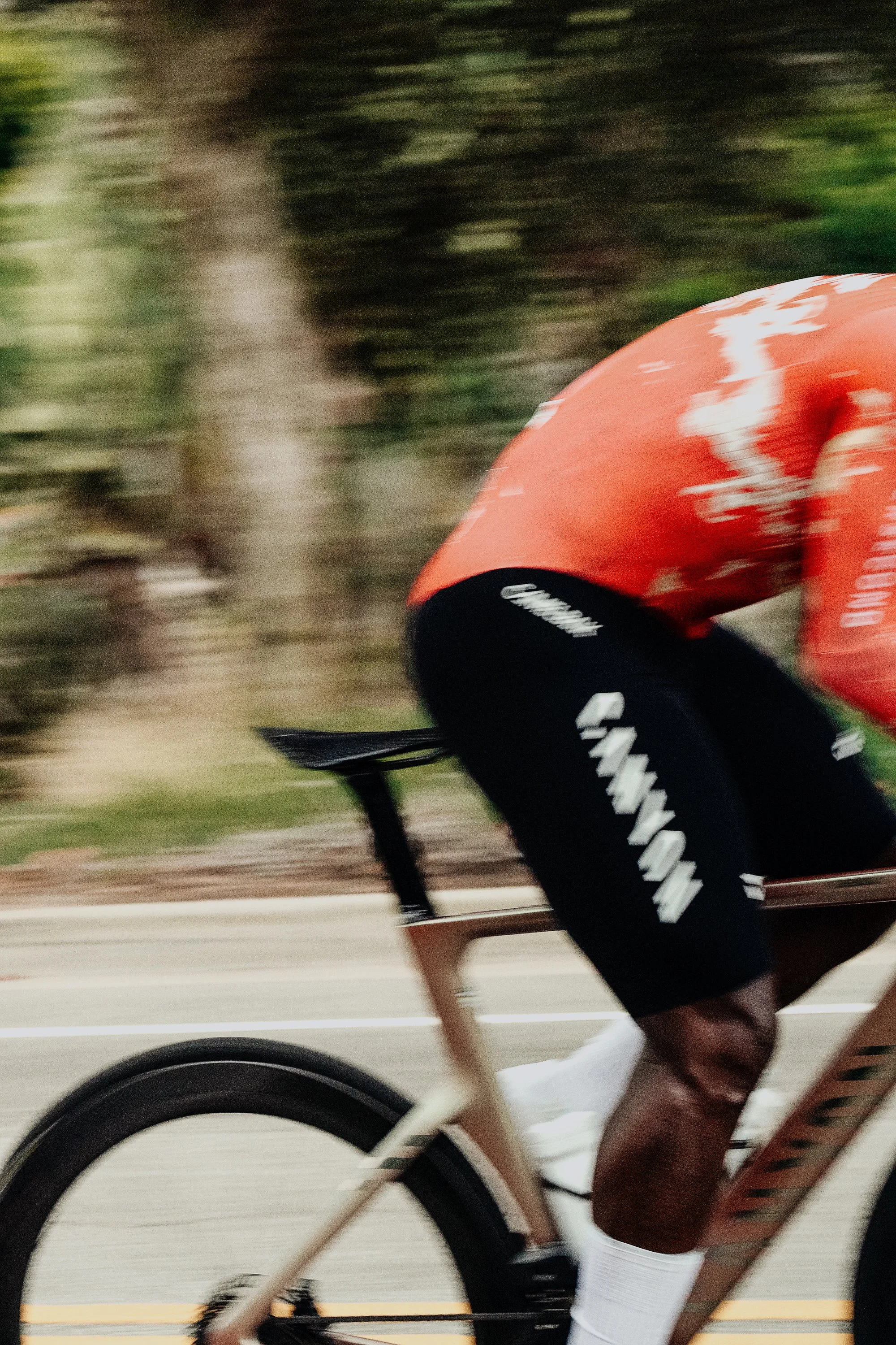 260712_dante_grand_prix-41.jpg