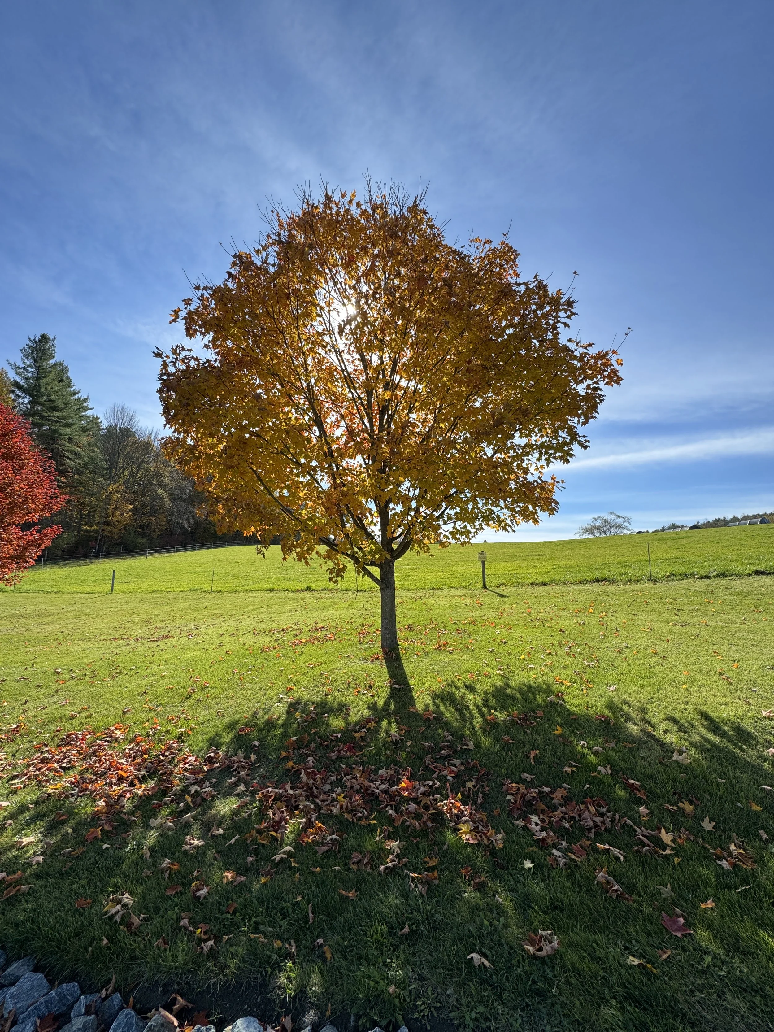 The Vermont Wayfinders’ Guide to 2026: What to Do When You’re Not on Tour