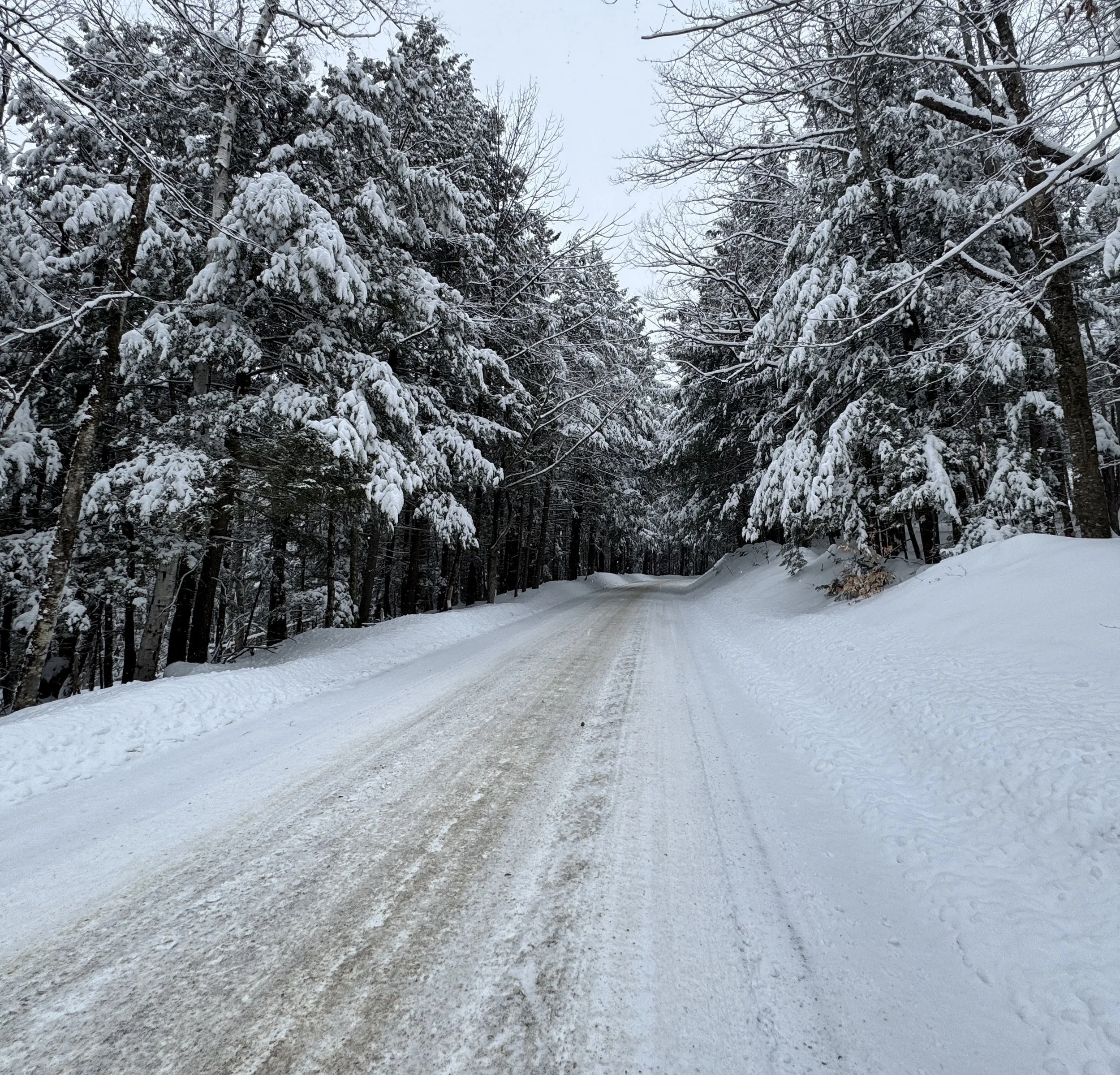 The Biggest Mistakes People Make When Planning a Vermont Day Trip