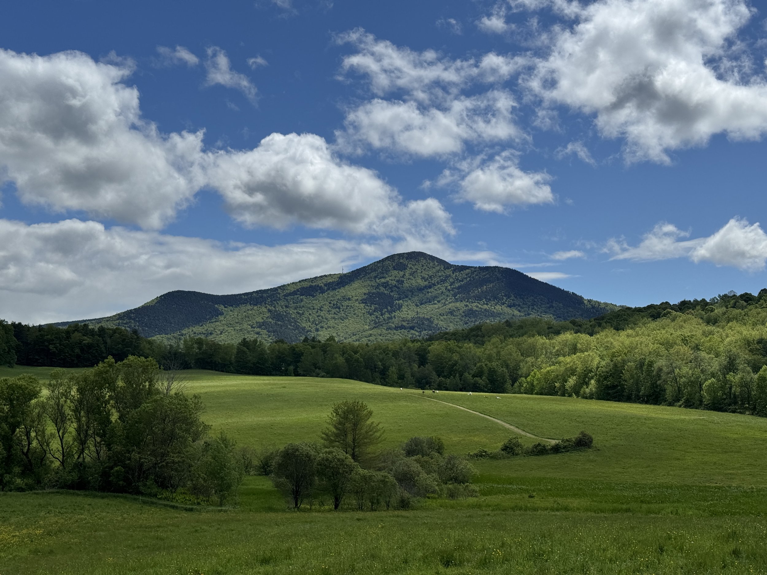 Custom Vermont guided tour for couples including Vermont mountain views