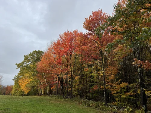 Vermont Fall Foliage Guide: Peak Color Dates, Scenic Drives, and ...