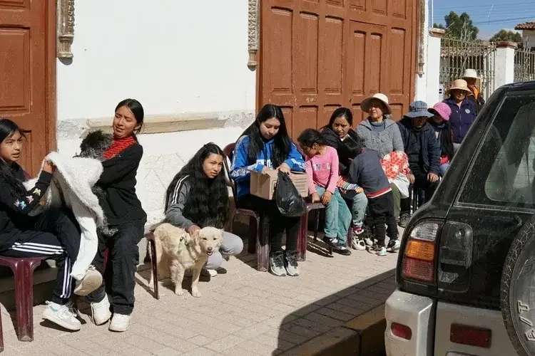 People waiting to adopt rescue animals