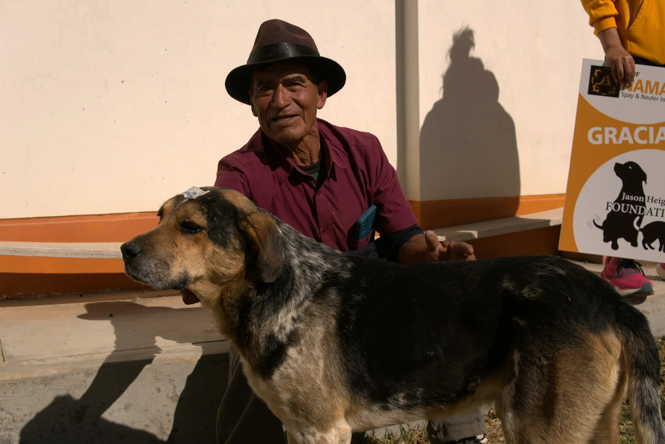 Be a Hero. Sponsor a Stray.