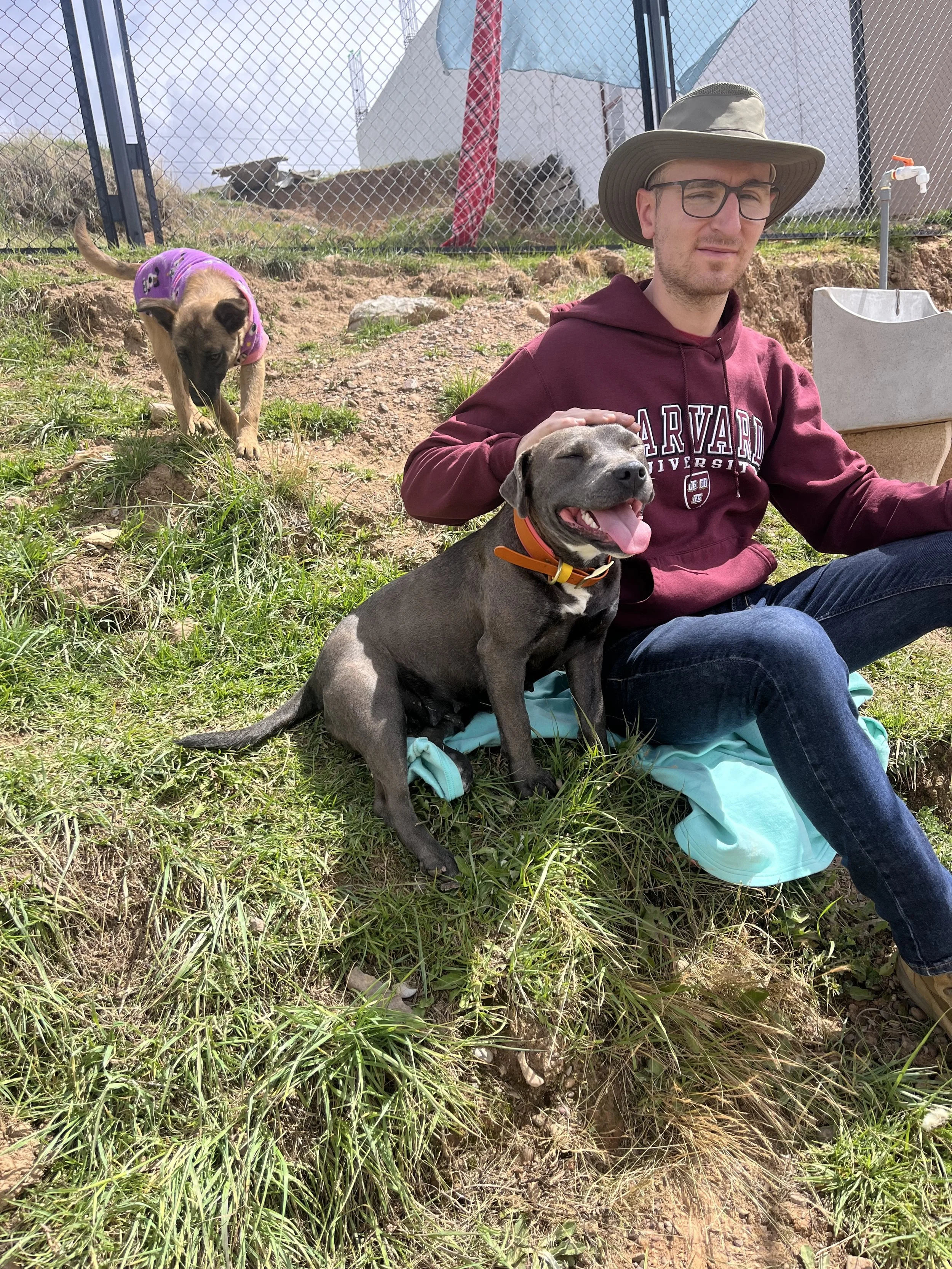 rescue-dog-with-people-annie.jpeg