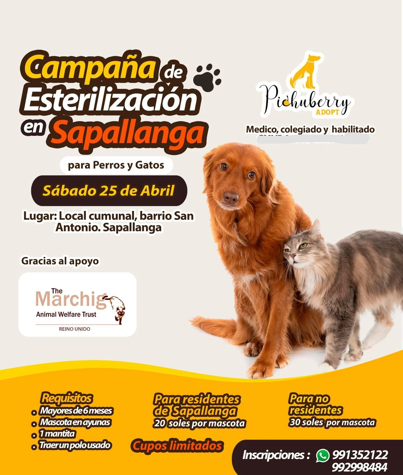 A First in Sapallanga: 68 Pets Sterilized and a Community Transformed