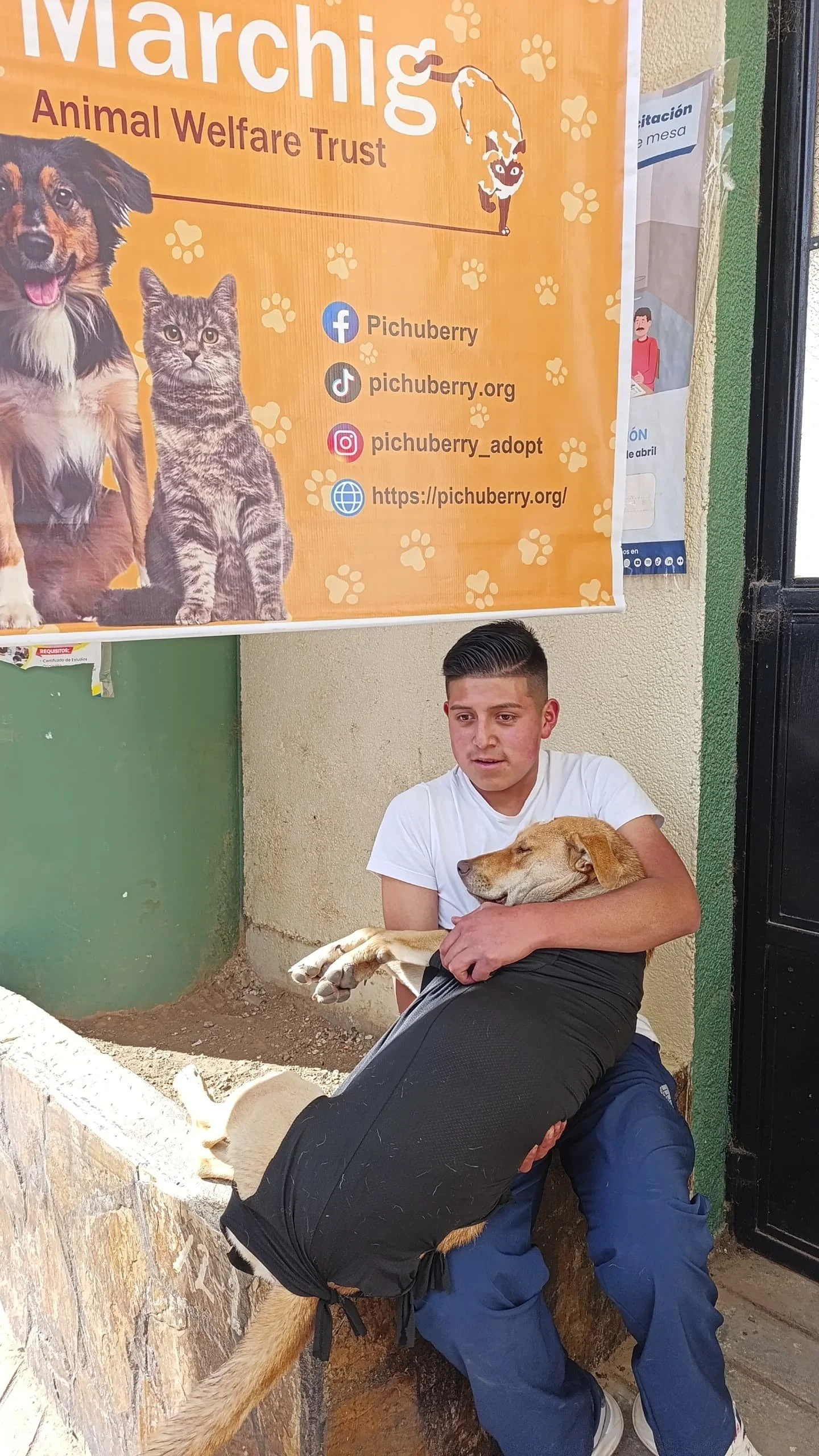 Acolla: Overcoming the Elements for Animal Welfare