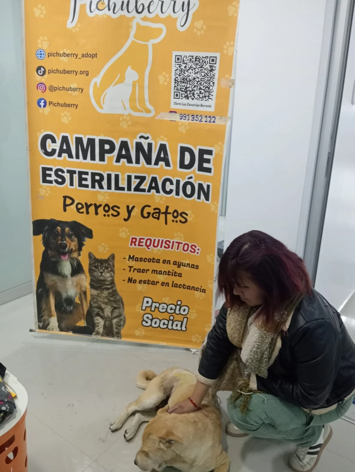 pilcomayo-campaign-8.jpeg