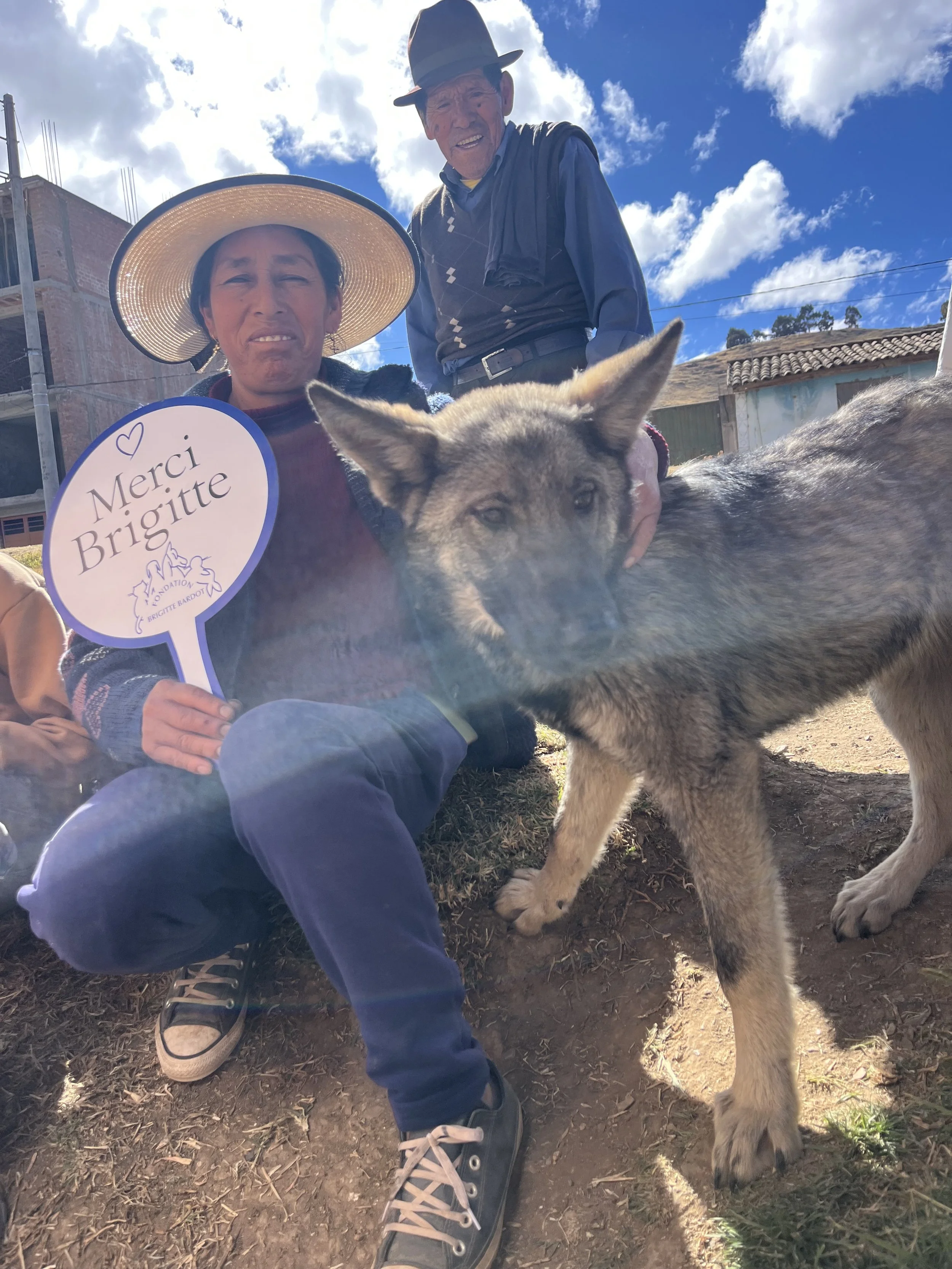 Yanamarca-campaign-7.jpeg
