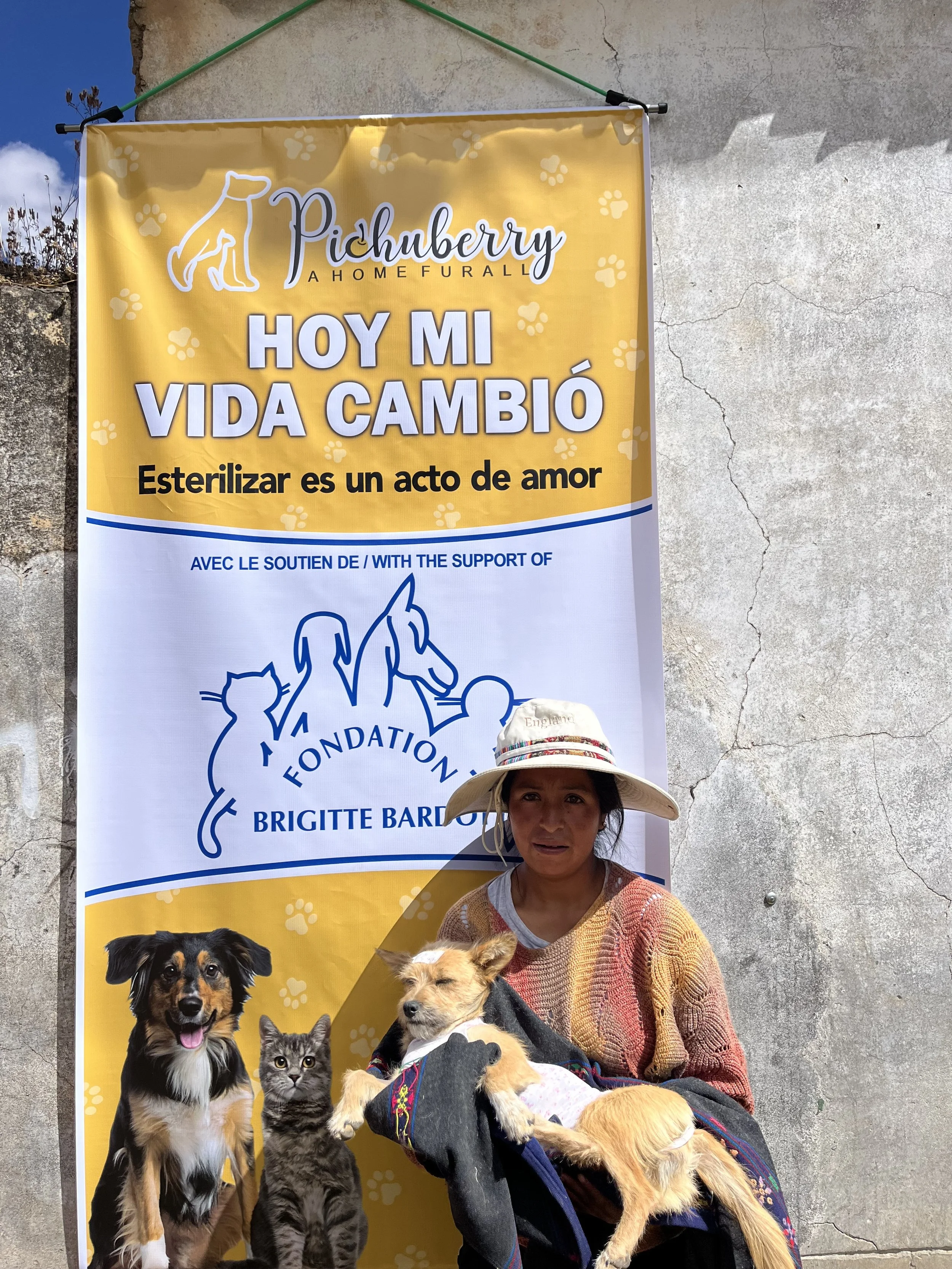Yanamarca-campaign-10.jpeg
