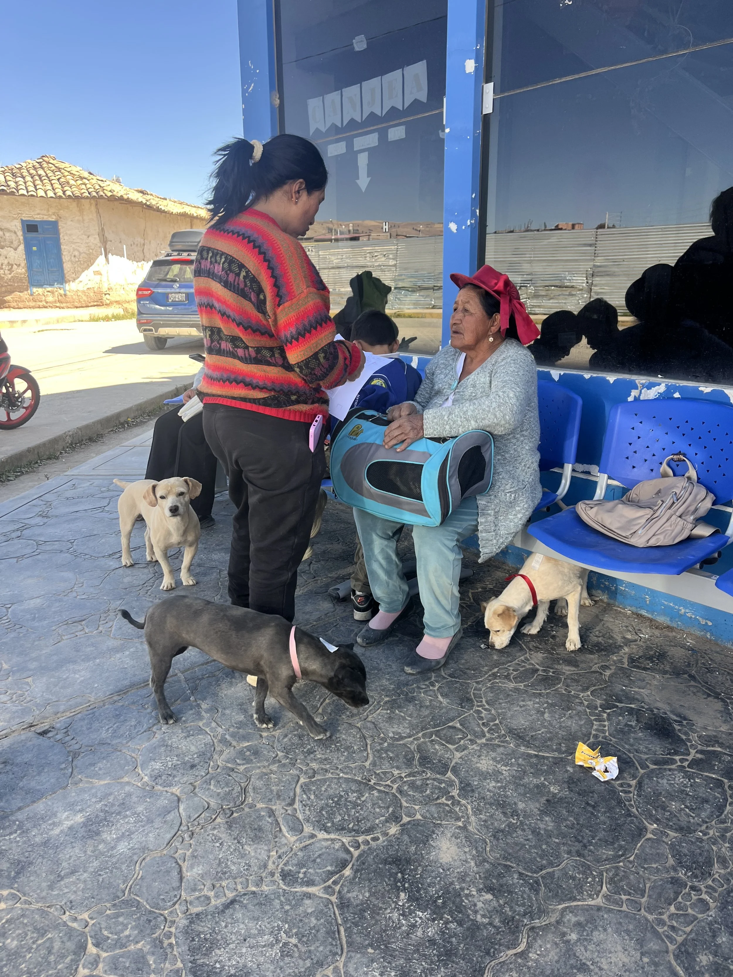 jauja-campaign-july-15.jpeg