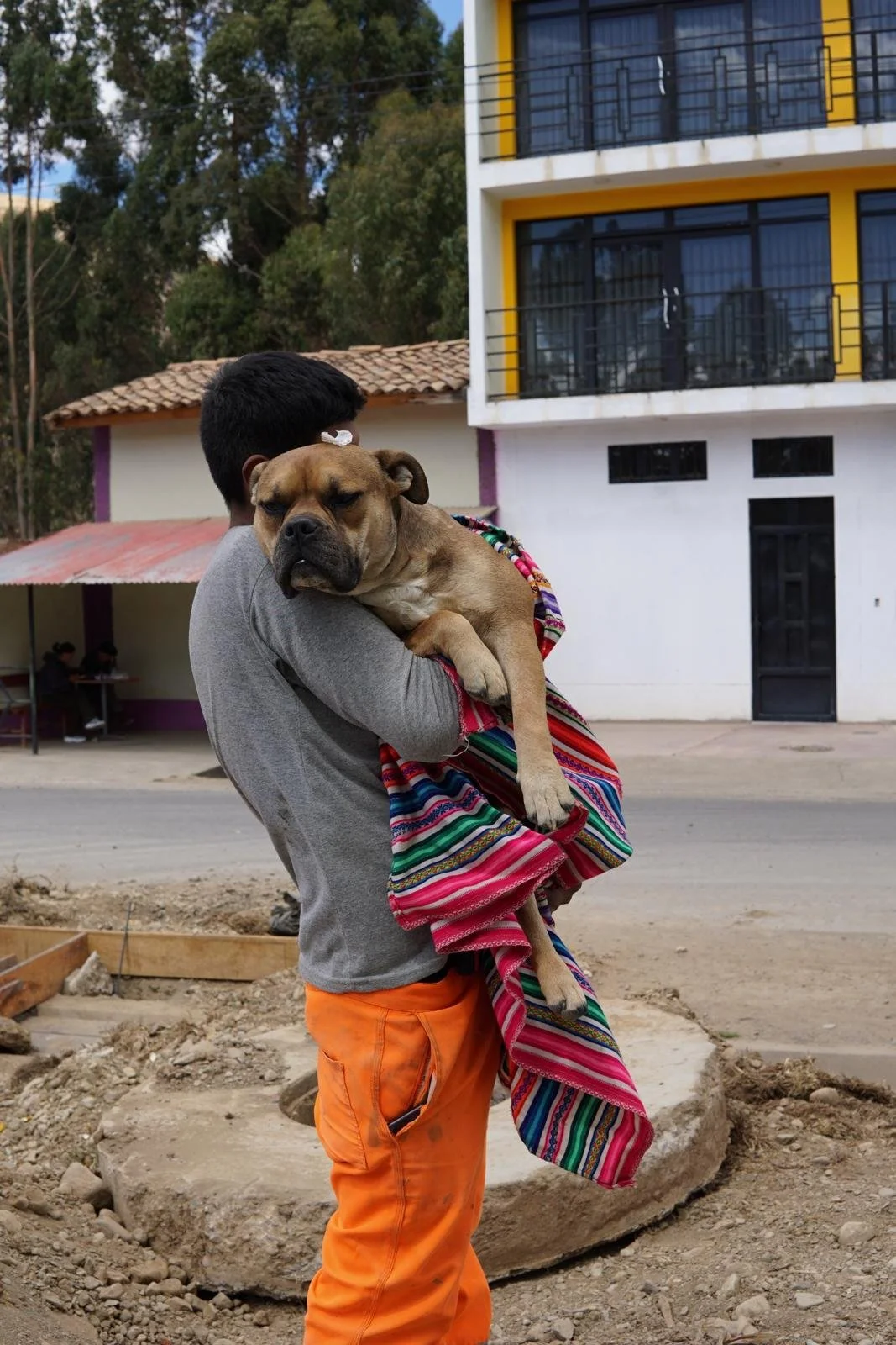 namaste-spay-&-neuter-initiative-3.jpg