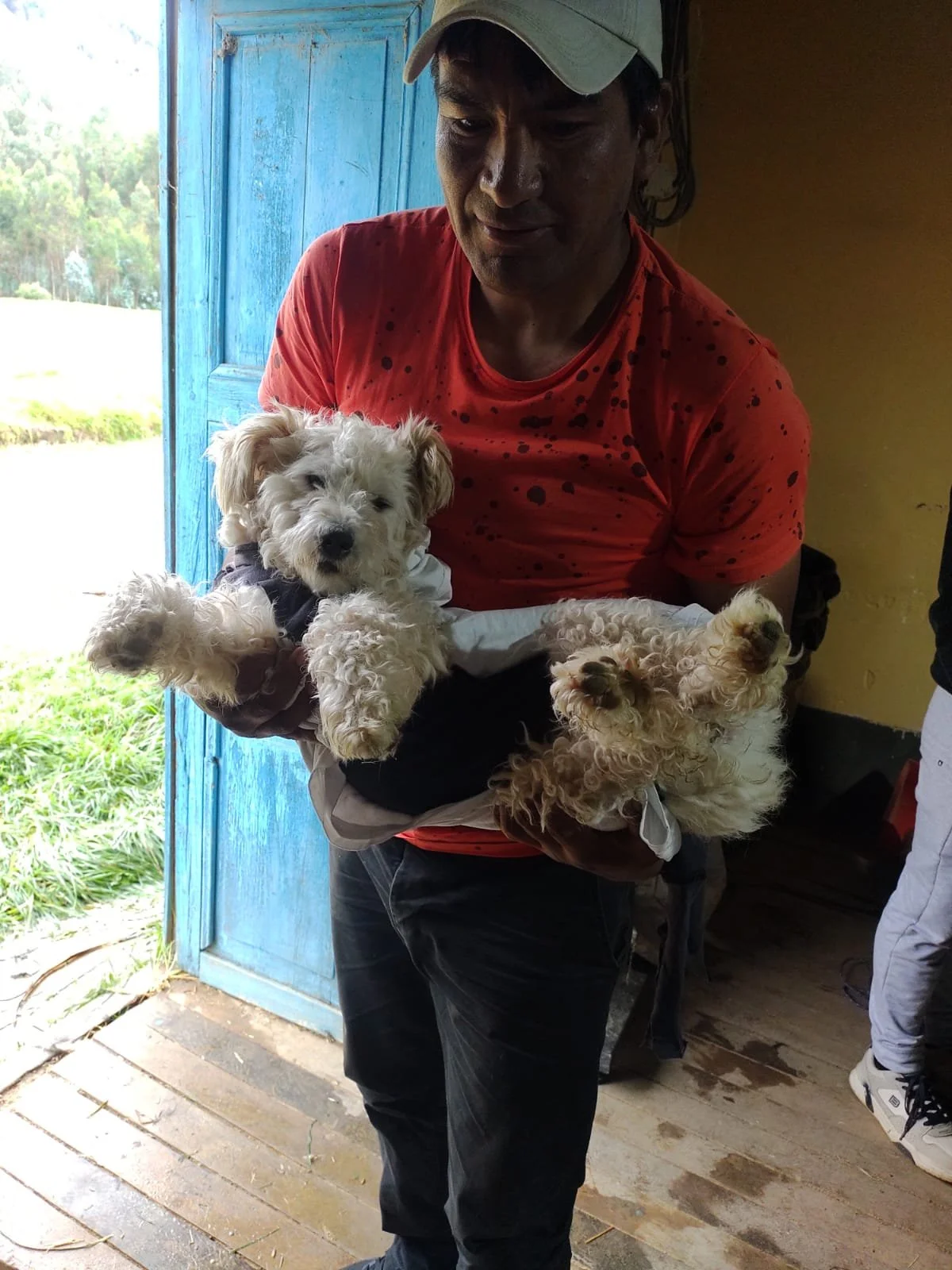 namaste-spay-&-neuter-initiative-5.jpg