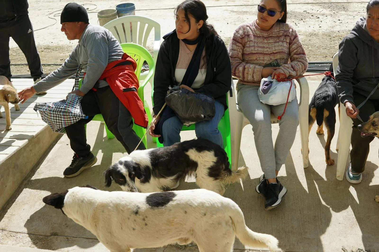 namaste-spay-&-neuter-initiative-15.jpeg