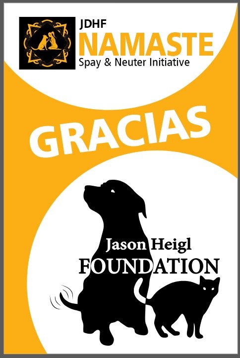 Gracias jason heigl foundation poster