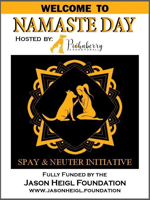 Funded by jason heigl foundation poster