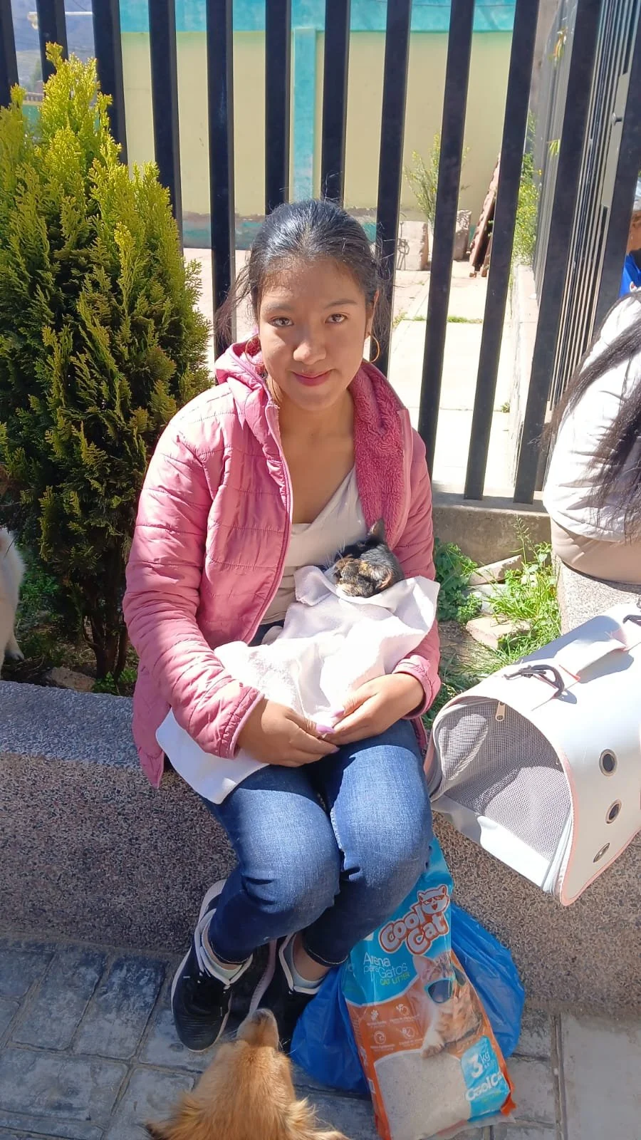 A young woman seated outdoors on a stone bench, holding a small kitten wrapped in a towel, with a green bush behind her and a black iron fence in the background. She is wearing a pink jacket and blue jeans. A bag of cat food is on the ground next to her, and a small dog is visible in the lower foreground.