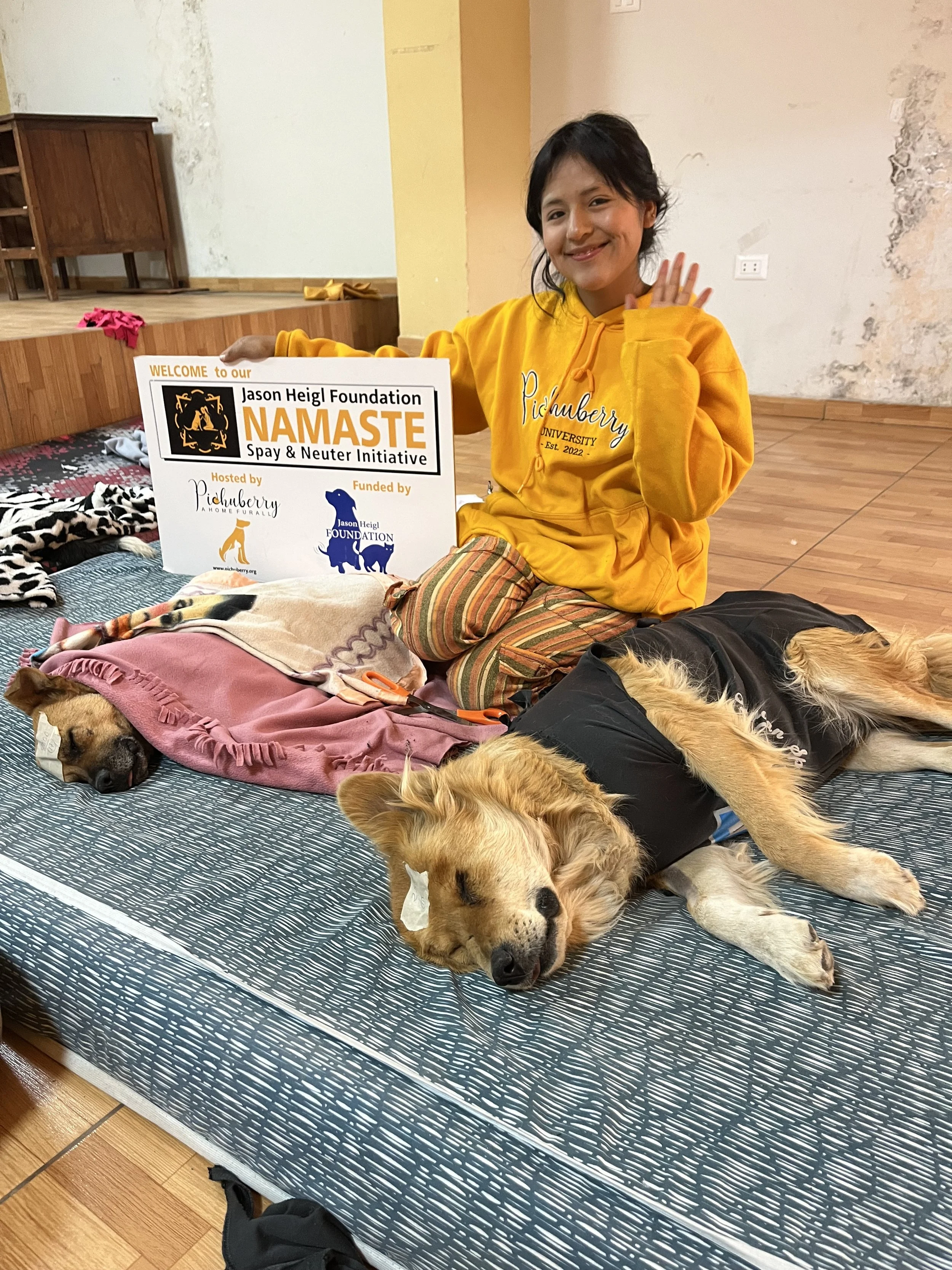 Pichuberry employee with recovering dogs