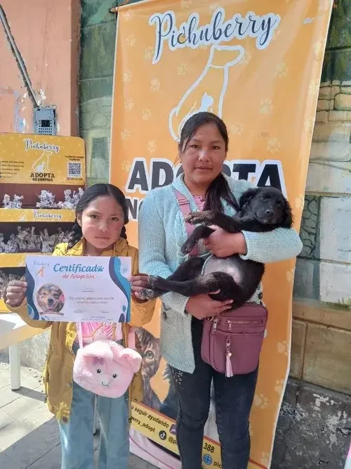 Family adopting a rescue puppy