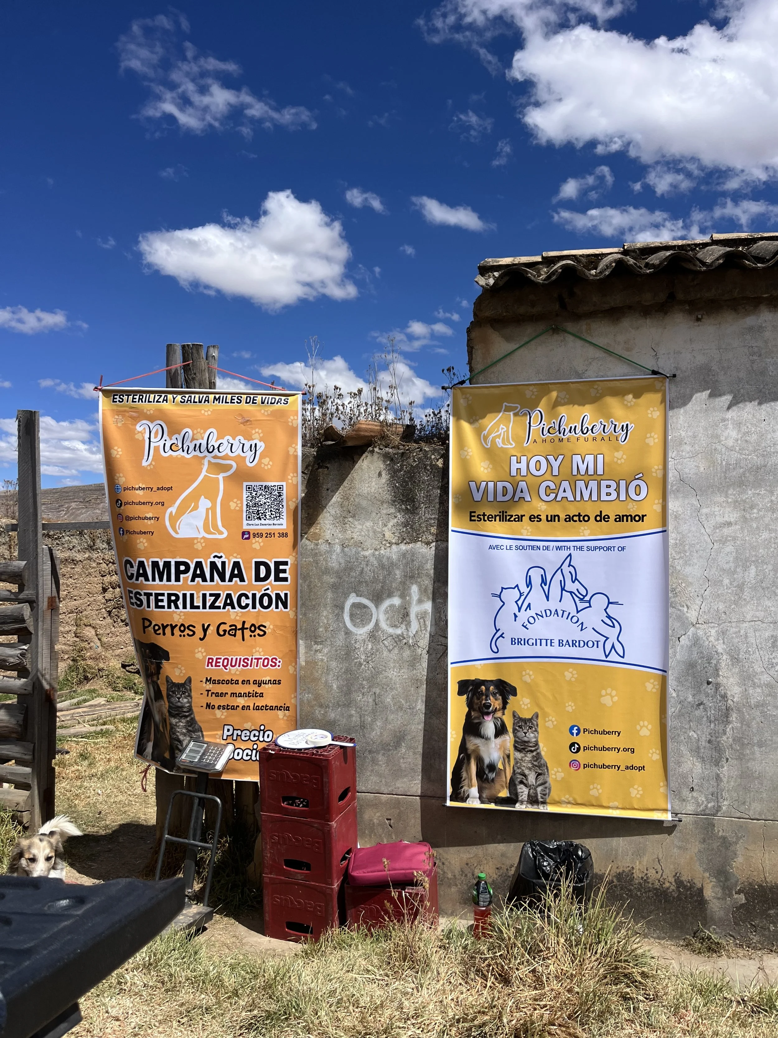 Campaign banners on local house