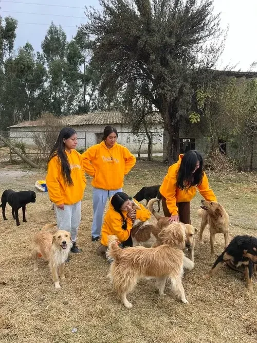 Rescue team working with rescue dogs