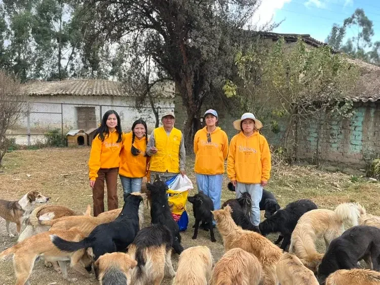 Rescue team posing with rescue dogs