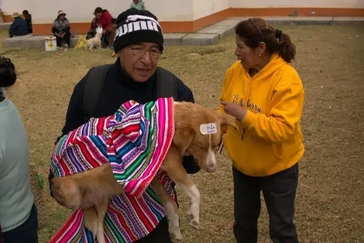 Man holding a rescue dog for adoption